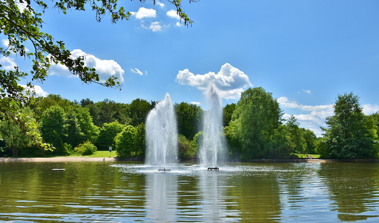 How to Create a Water Feature in Your Backyard